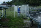 除草作業②HP.jpg